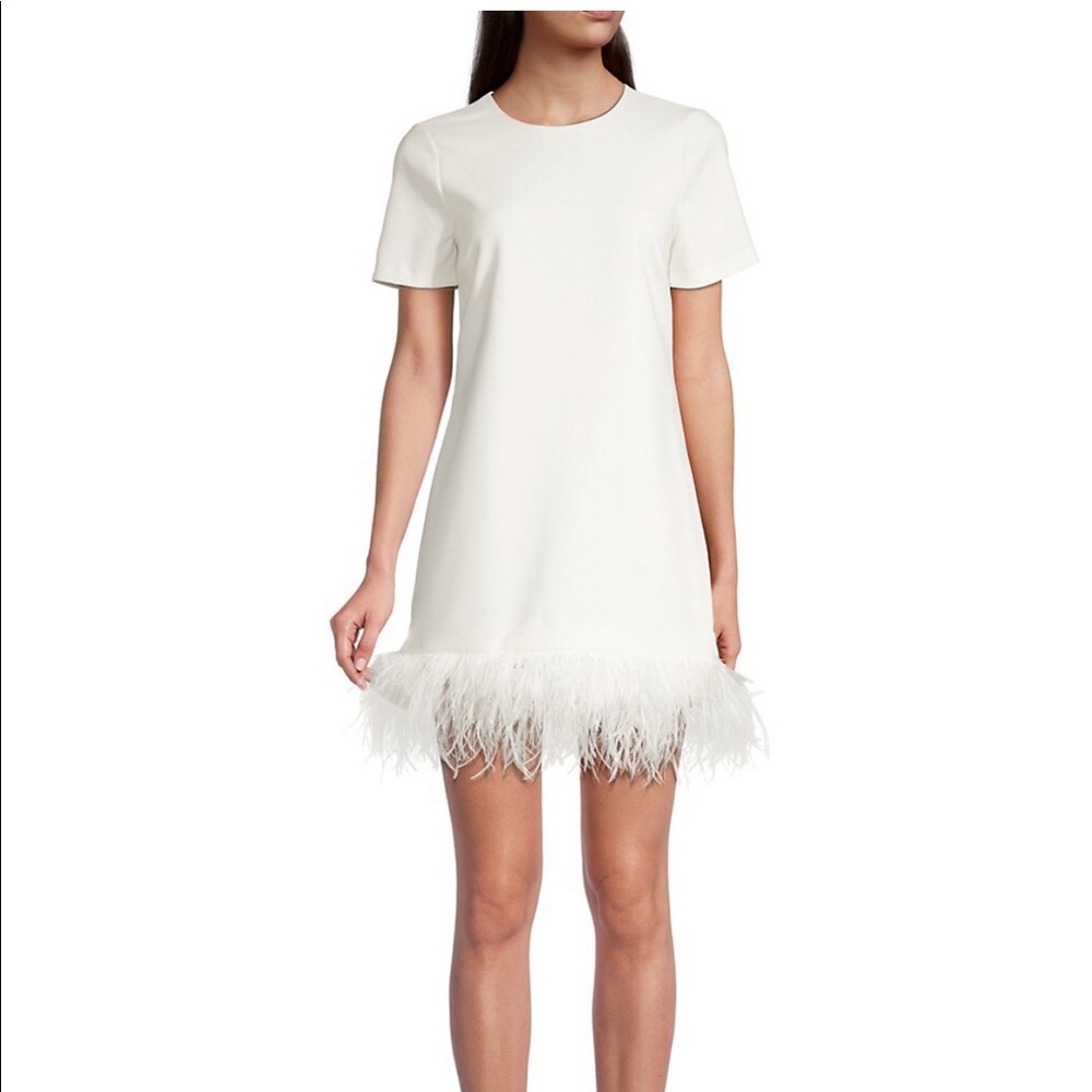 Likely white feather detail dress. Perfect for any wedding event!